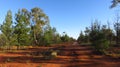 Dirt Road in the Australian Outback Royalty Free Stock Photo